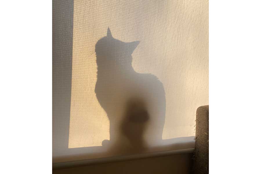 自分の髪が不健康かどうかはどうすればわかりますか?