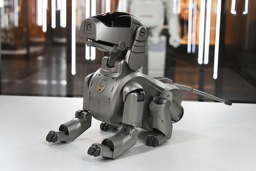 ロボット犬の活躍が話題に（写真はイメージ）【写真：Getty Images】