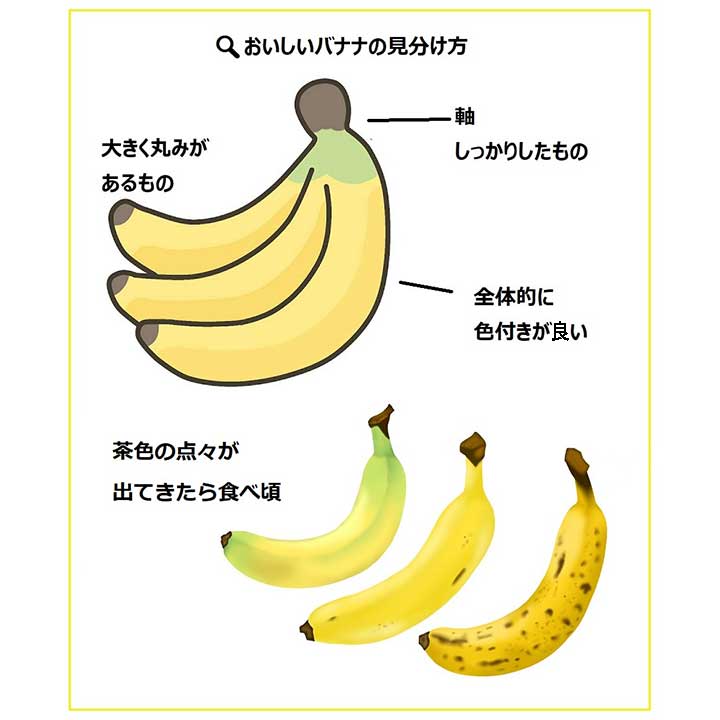 バナナはシュガースポットができたら食べ頃【画像：イラストACよりHint-Pot編集部作成】