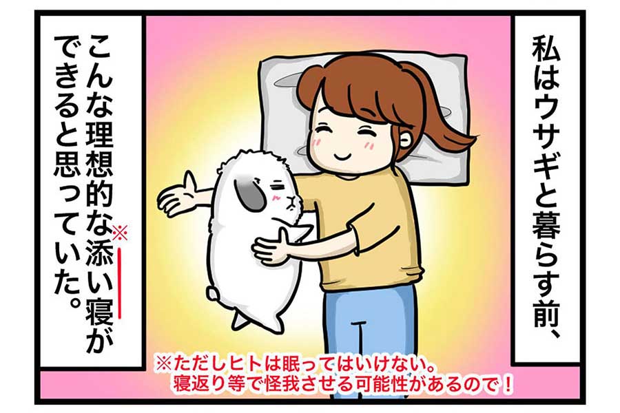 漫画のワンシーン。一緒に暮らすウサギとの添い寝を試みるも…【画像提供：Hitomi（hitomi_ikawa）さん】