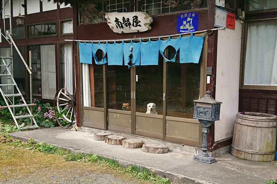 【写真提供：温泉民宿 南部屋（なんぶや）（@nanbuya_towada）さん】