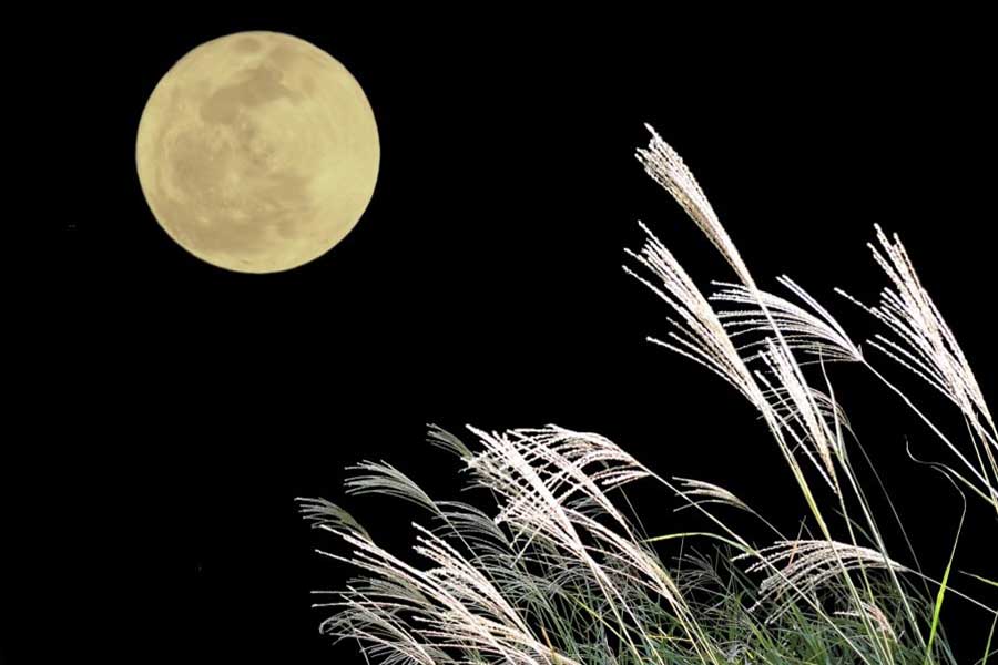 ススキと満月（写真はイメージ）【写真：写真AC】