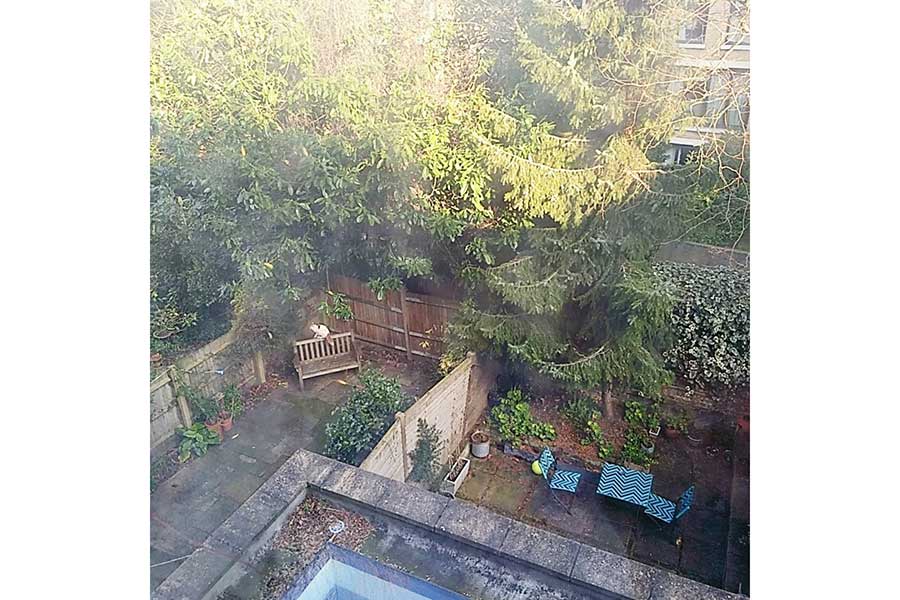 ないよりあったほうがましですが…。ロンドン都市部の住宅でよく見かける広さの庭【写真：Moyo】