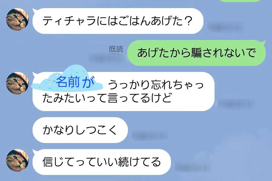 飼い主さんの元に届いた配偶者さんからのメッセージ。ティチャラくんの思惑が明るみに？【画像提供：仔猫を拾ったので（@konekowohirotta）さん】