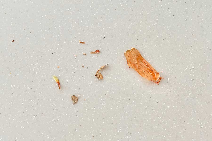 パリパリに破れて飛び散ったタマネギの皮【写真：Hint-Pot編集部】