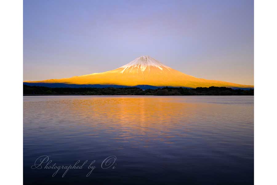 黄金に輝くような富士山【写真提供：富士山写真家 オイ| Mt.Fuji Photo（@fujitomo_photo）さん】