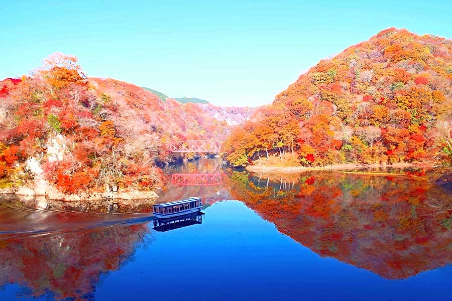 鮮やかに色づいた景色が美しい紅葉の風景（写真はイメージ）【写真：写真AC】