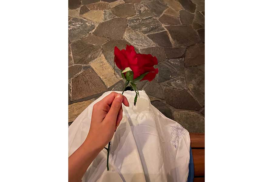 女の子からプレゼントされた1輪のバラ【写真提供：Aoi（@Aoidisney0125）さん】