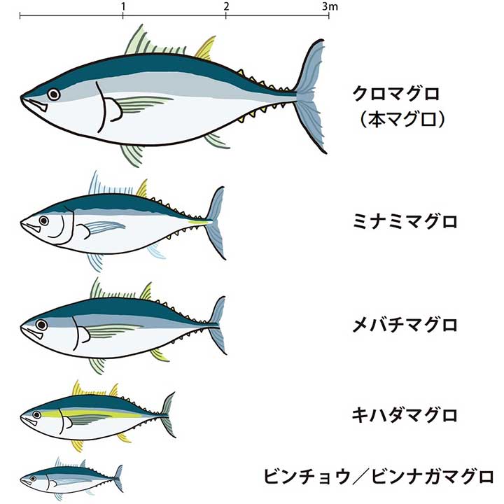 【画像：イラストACよりHint-Pot編集部作成】