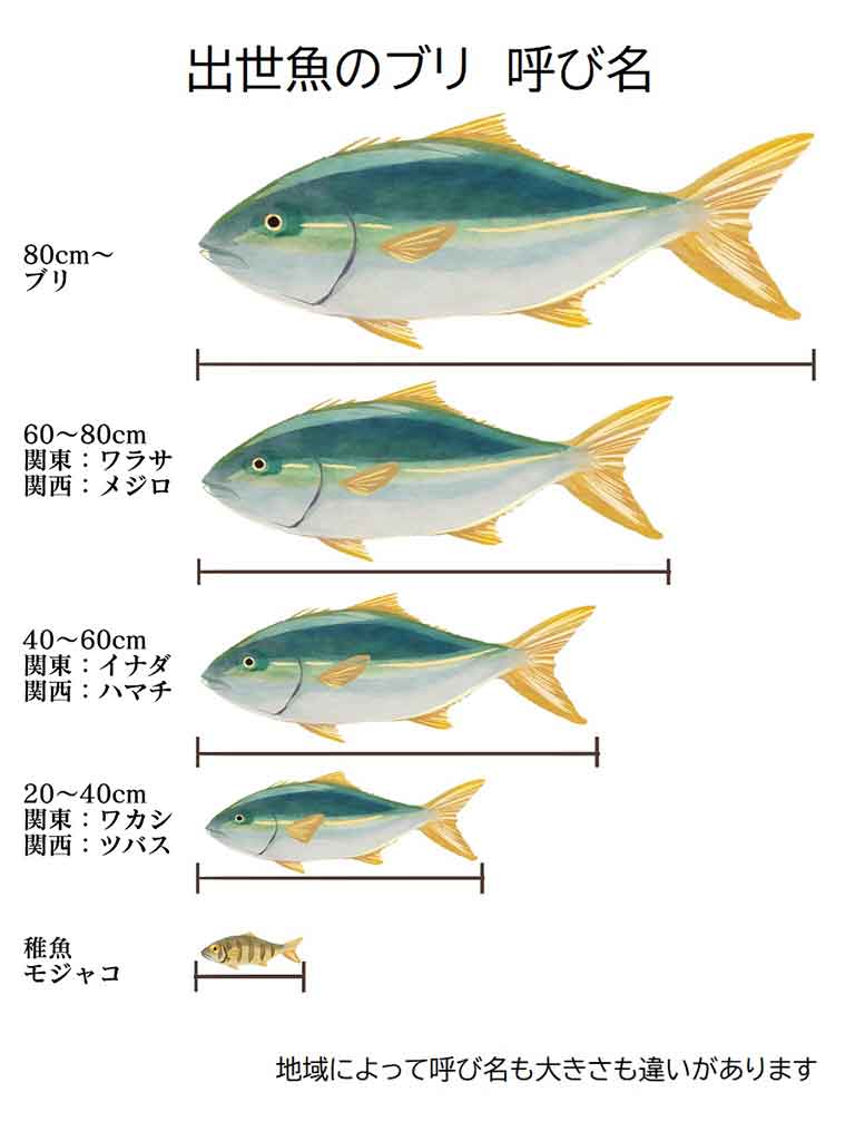 【画像：イラストAC】