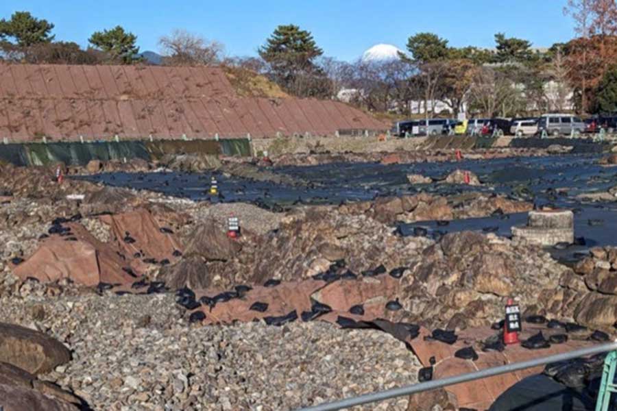 城跡の発掘調査【写真：日下千帆】