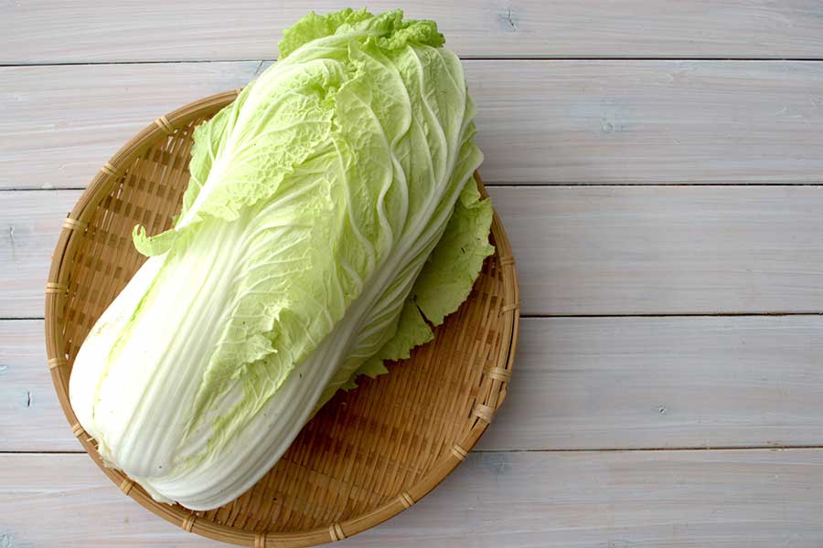実は生で食べられる白菜。大量消費できる簡単メニューが話題に（写真はイメージ）【写真：写真AC】