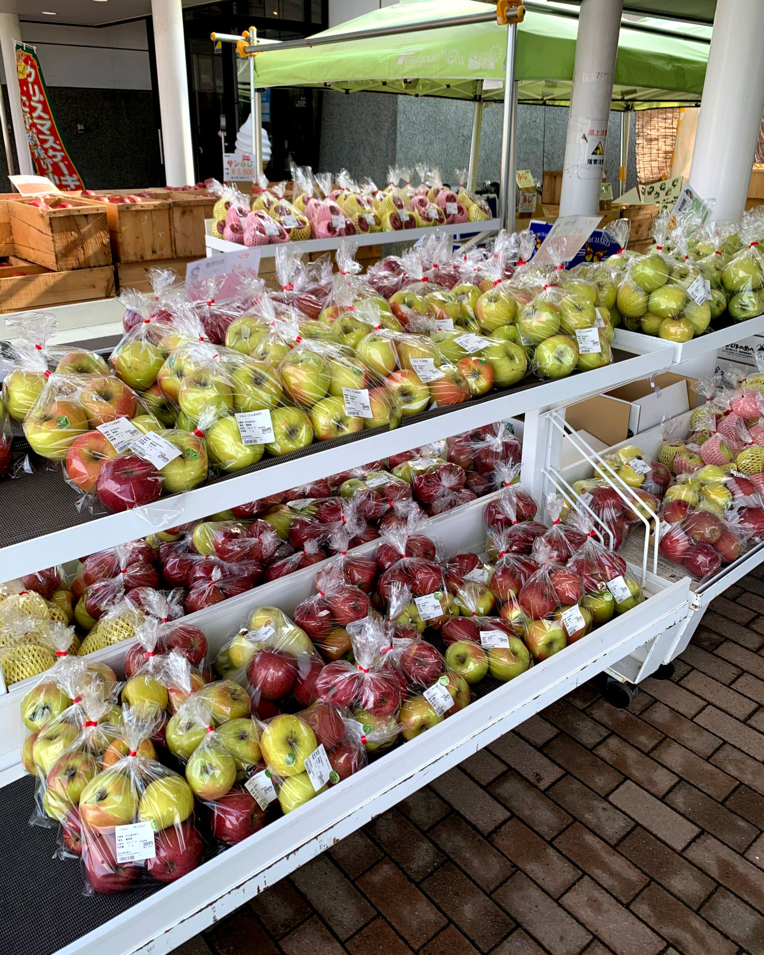 種類も豊富な青森のリンゴ【写真：Hint-Pot編集部】