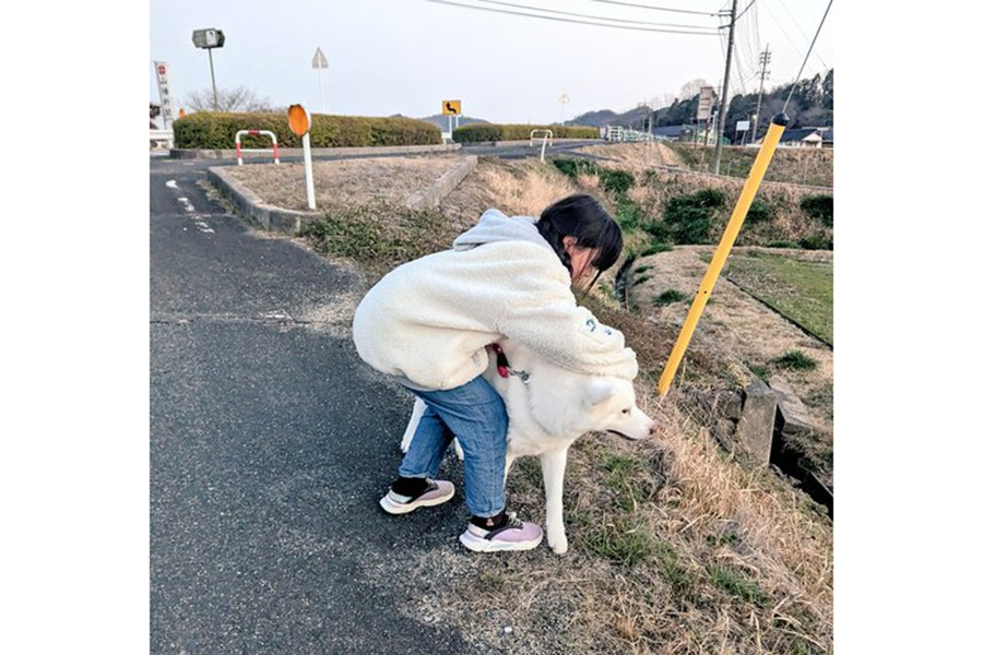 道路の端で車から秋田犬を守る飼い主さんの次女【写真提供：秋田犬こゆきと愉快な仲間達（@kodomo4dog5）さん】