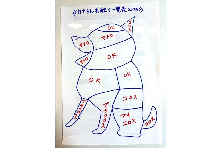飼い主さんが作成した柴犬カナちゃんのお触り一覧表【写真提供：【公文式】豆柴犬カナちんwith進次郎（@GokkunMonster）】