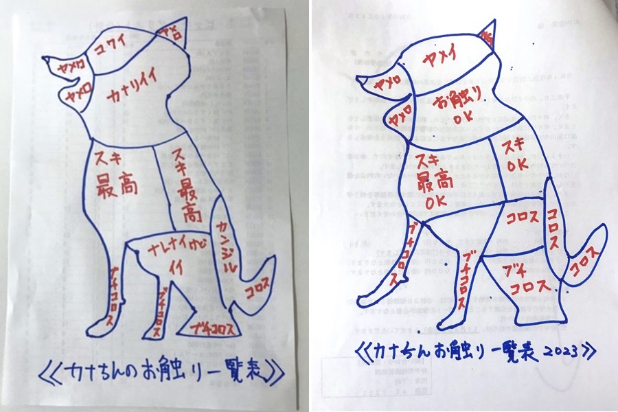 （左から）2022年10月と2023年5月に描いた表【写真提供：【公文式】豆柴犬カナちんwith進次郎（@GokkunMonster）さん】
