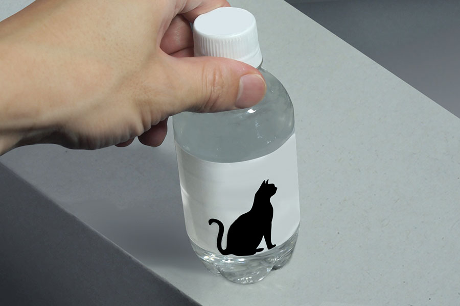 「猫の日」に投稿された愛らしいペットボトルのアイデア【写真提供：ミチル（@mitiruxxx）さん】