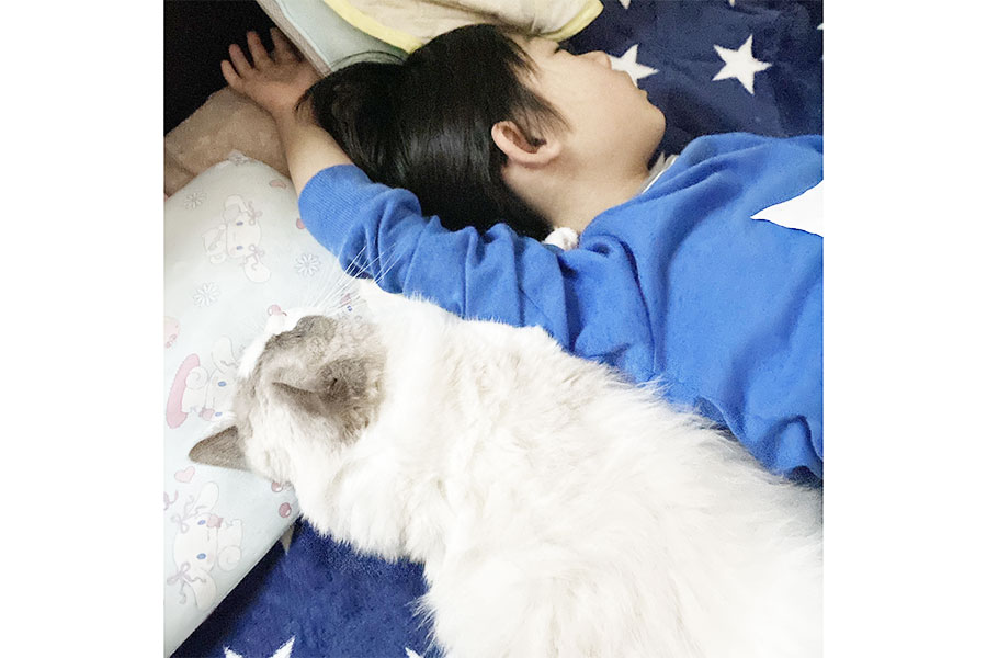 仲良く眠る男の子とねこ【写真提供：LUCA　ラグドール（@LUCA_10_24）さん】