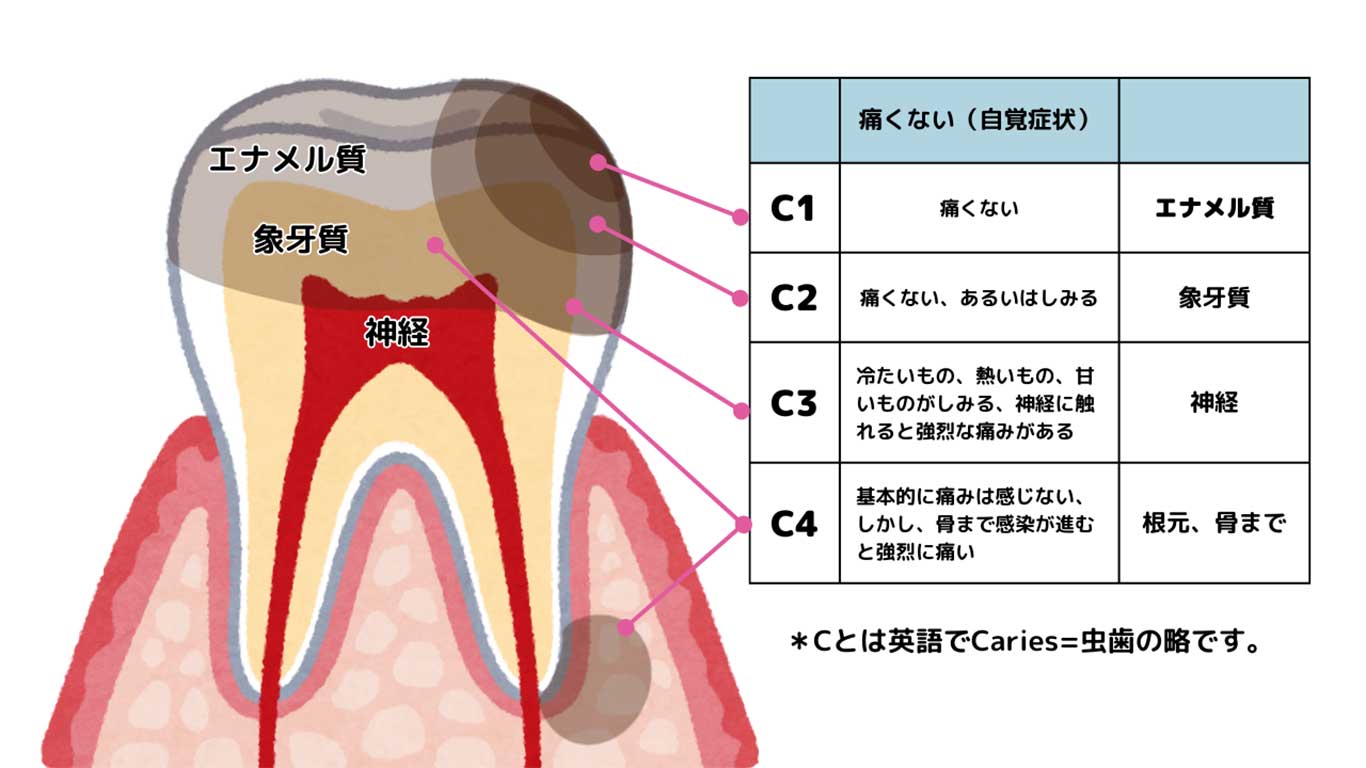 【画像提供：あんどう歯科・美容皮フ科】