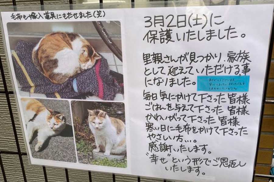 里親さんが見つかったことを報告する張り紙【写真提供：猫まみれ（@nekomamire5hiki）さん】