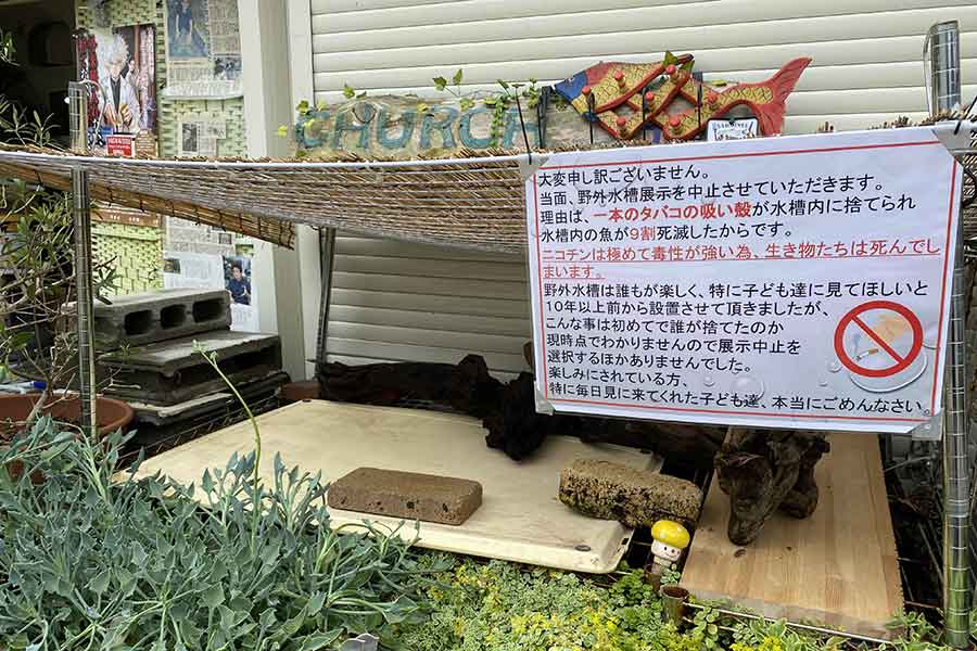 タバコのポイ捨ての被害に遭った野外水槽【写真提供：京都花園教会水族館】