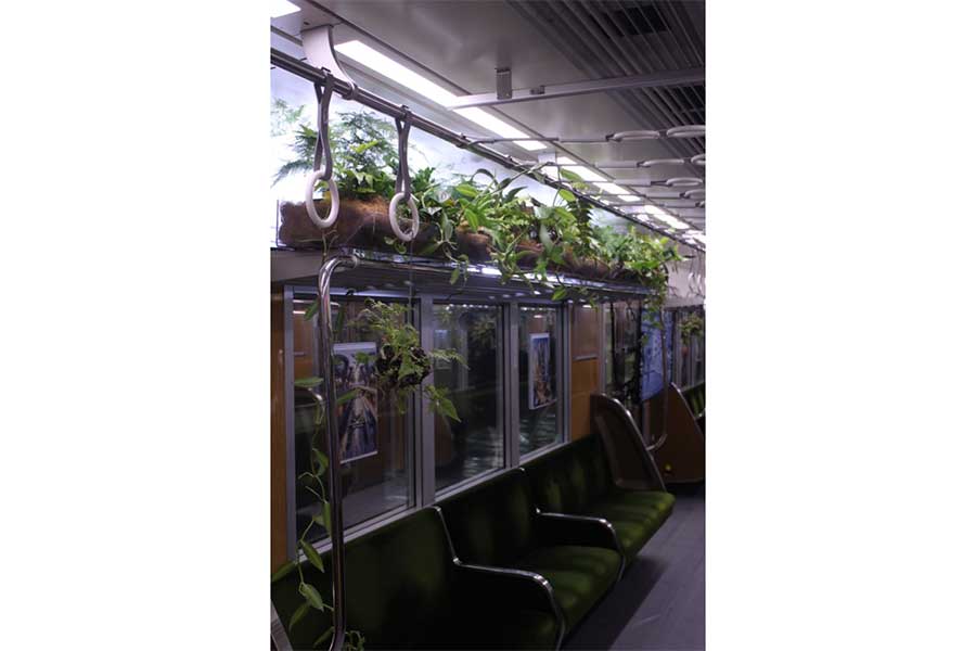 見慣れた電車が網棚に植物が並ぶ素敵な空間に【写真提供：タニー@南アフリカ　TANI LIFE（@tanny_landscape）さん】