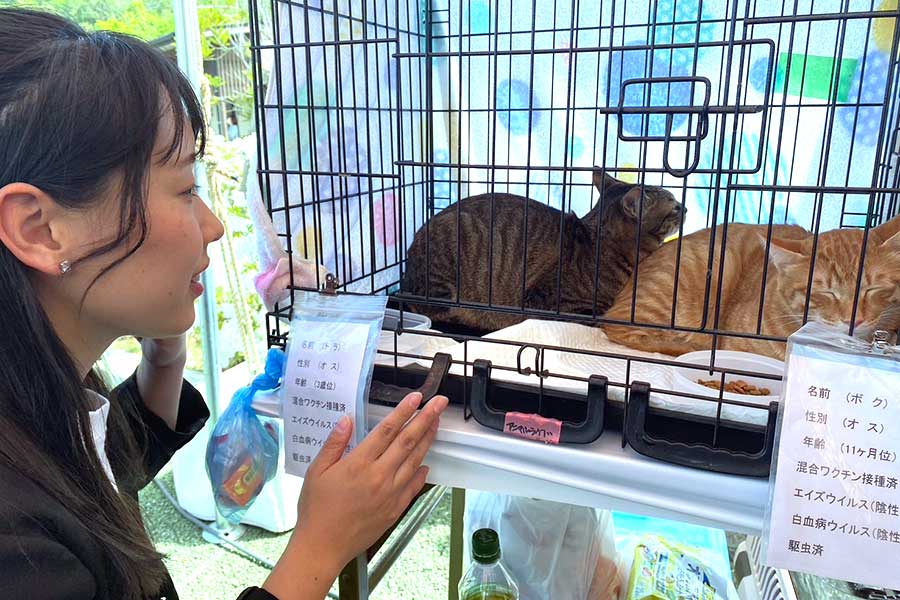 譲渡会などで保護動物の啓蒙活動を行っている高木真備さん【写真提供：高木真備】