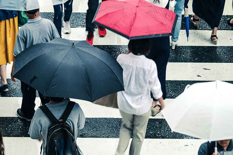雨の日に傘を差した人が多く行き交う横断歩道（写真はイメージ）【写真：写真AC】