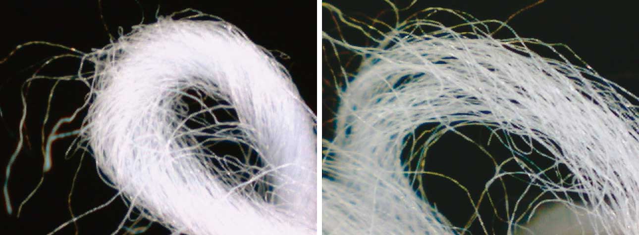 左は一般的な撚りで、繊維の一本一本が密着。右は無撚糸で繊維間に隙間ができている【写真提供：UCHINO】