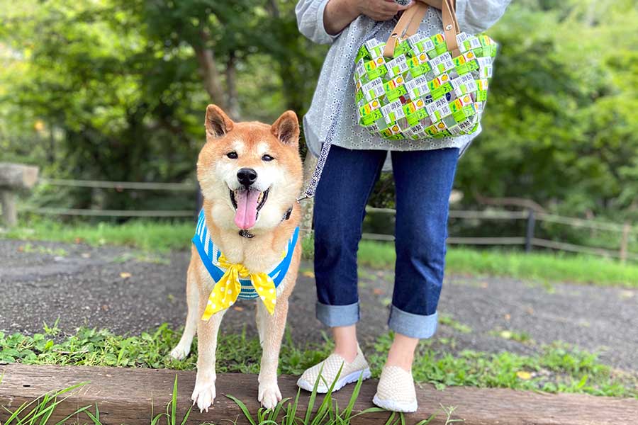 愛犬のお散歩バッグにも【写真提供：マルサンアイ】