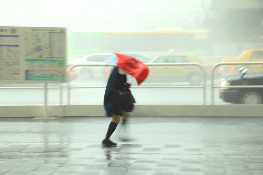 台風は雨だけでなく風による被害も（写真はイメージ）【写真：PIXTA】