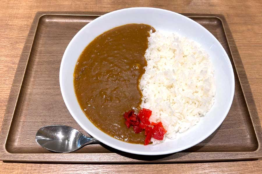 いまや外国人観光客にも人気の日本のカレー【写真：Hint-Pot編集部】