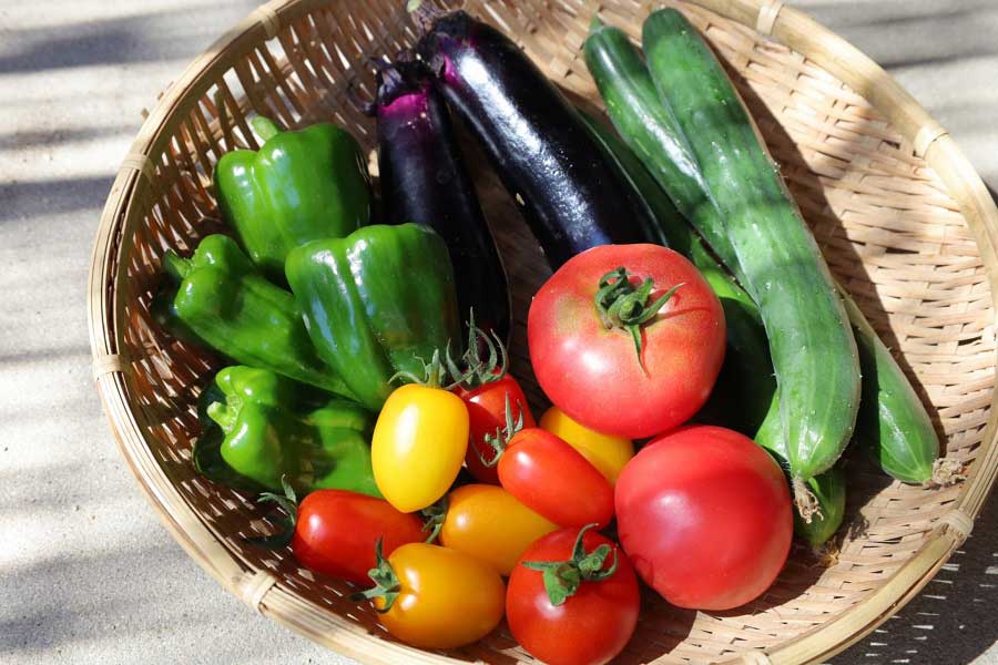 栄養豊富な野菜（写真はイメージ）【写真：PIXTA】