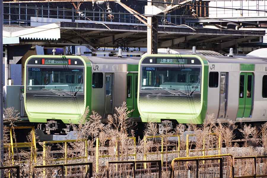 オランダ人が東京観光中に電車を利用し感激（写真はイメージ）【写真：写真AC】