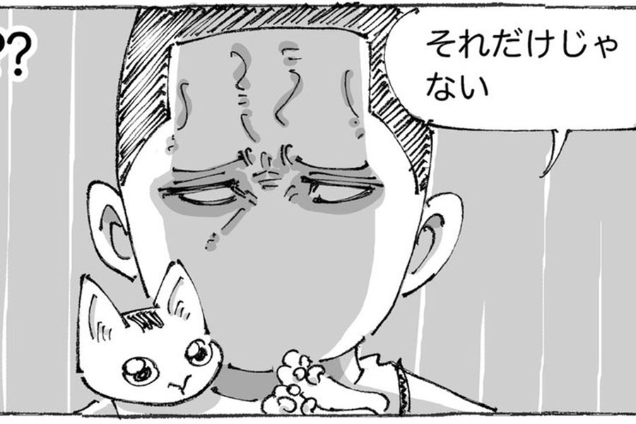 漫画のワンシーン。ママさんが夫婦げんかのときに猫を抱くワケとは【画像提供：五箇野人（@gokayajin）さん】