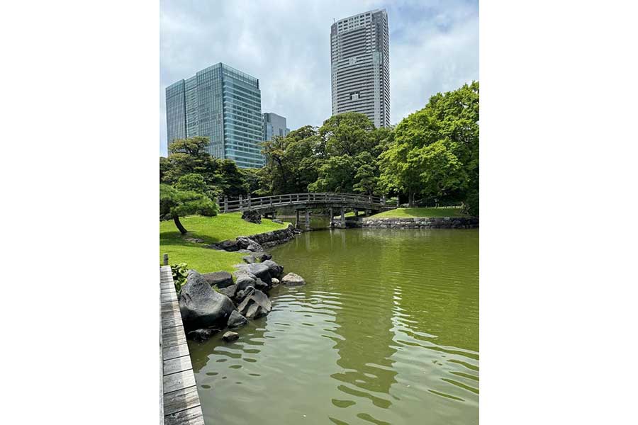 周囲には高層ビルが建ち並ぶ浜離宮恩賜庭園【写真提供：カールソン】