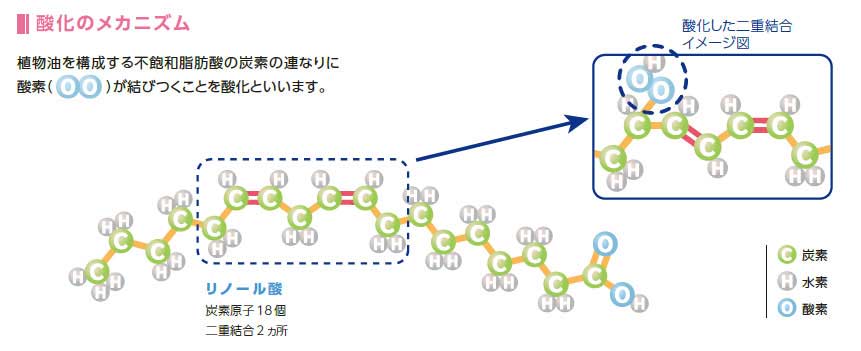 折れ曲がった場所に酸素が結合すると酸化が起きる【画像提供：日清オイリオ】