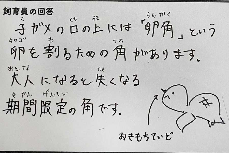 実際の回答。漢字の上には、子どもでも読めるよう丁寧にふりがなが添えられている【写真提供：道の駅ウミガメ公園（@umigame_kouen）】