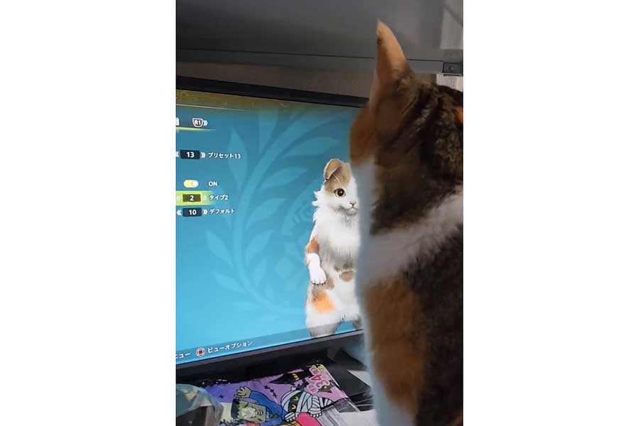 ゲームキャラクターの声に反応するねこ（画像はスクリーンショット）