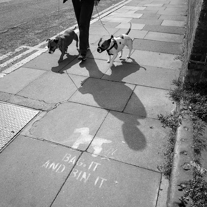 ロンドンには、犬の排泄物を持ち帰るように呼びかける道路標示が。ティエゴさんは、道路上に残されたフンの多さにびっくり（写真はイメージ）【写真：Getty Images】