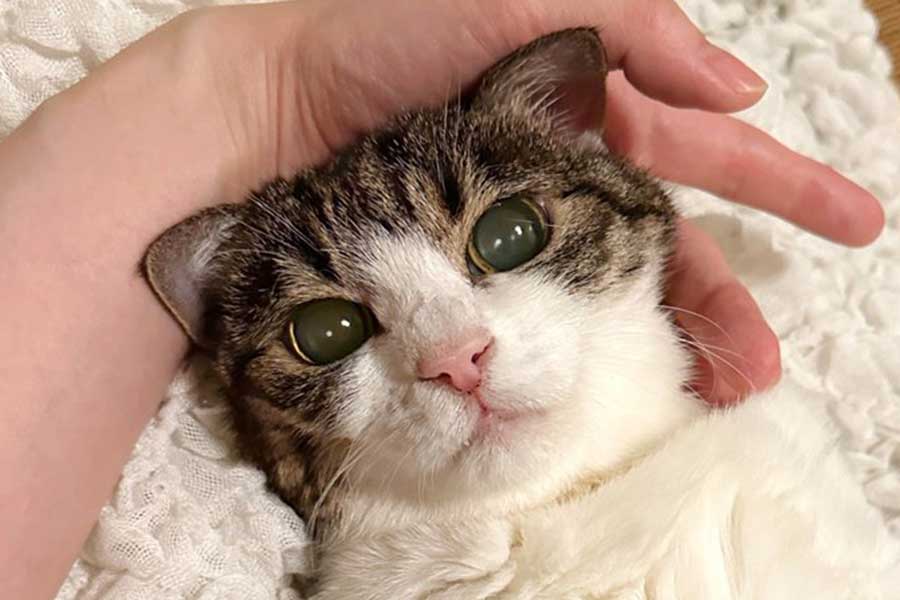 20歳の「とんでもなくかわいい生き物」 お正月を一緒に迎えられた喜び