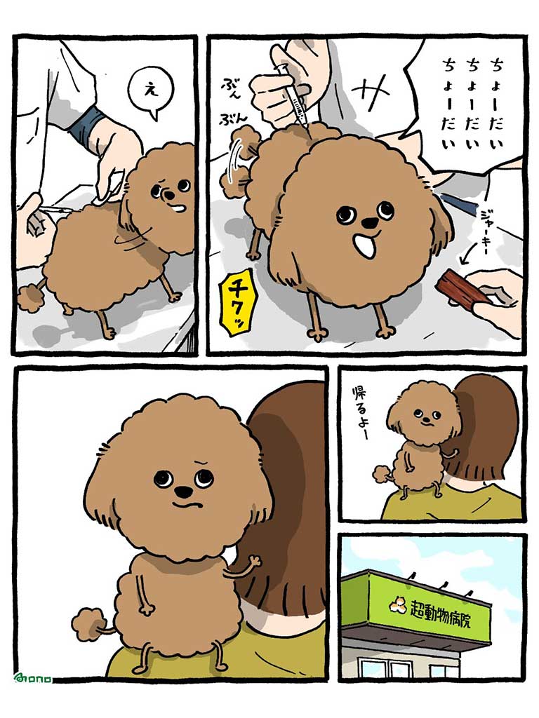 【画像提供：おのあまね（@onoamane）さん】