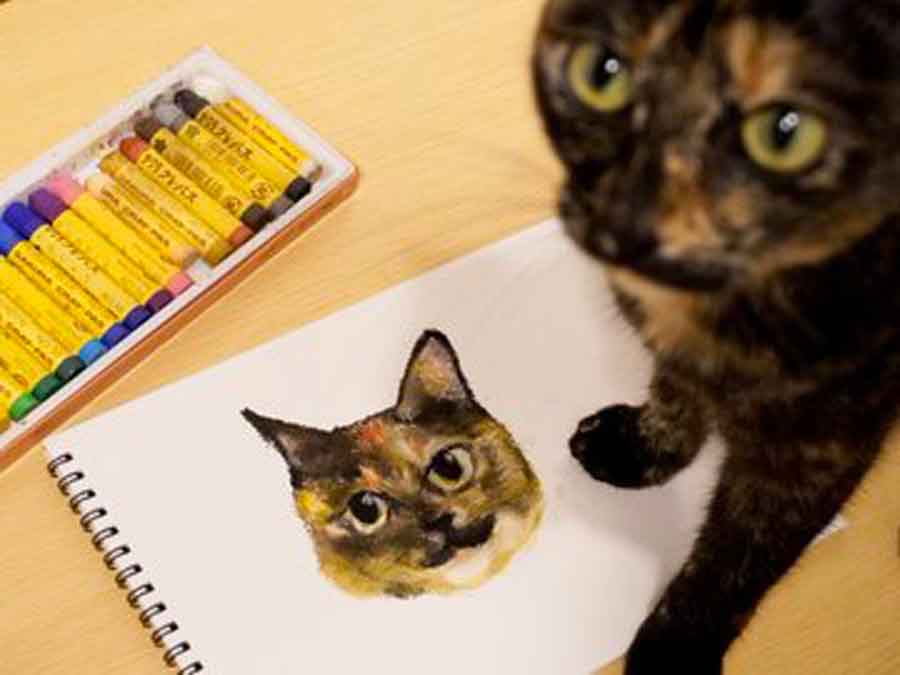 実りさんがクレパスで描いた愛猫【写真提供:実り(@mi_84cat)さん Instagram:ameri_t84さん】