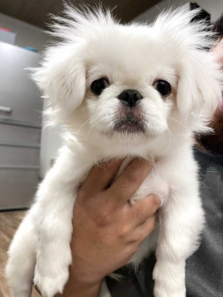 【写真提供：こむすび（@komupeki）さん】