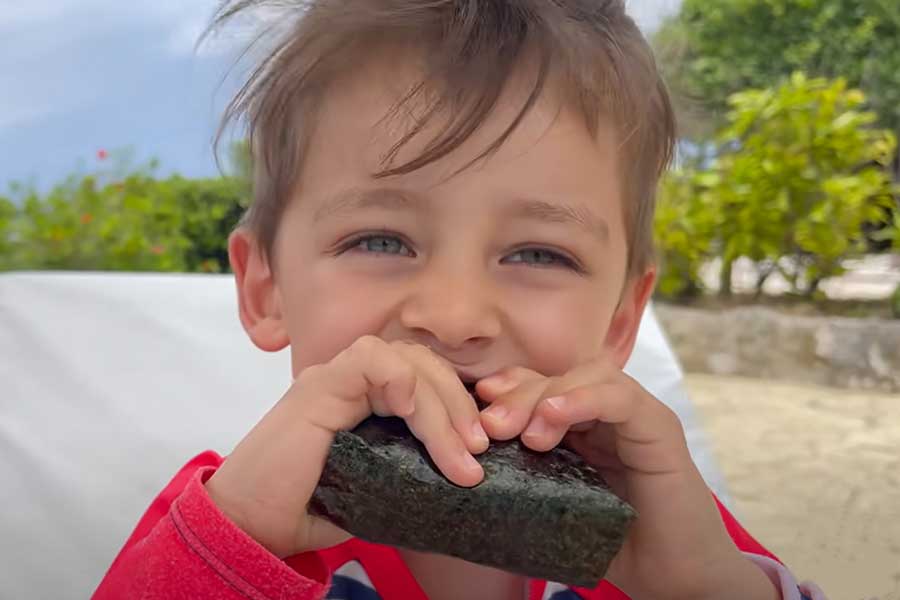 食べ終わった10分後におかわりするほど気に入った、シャケのおにぎりをパクリ（画像はスクリーンショット）
