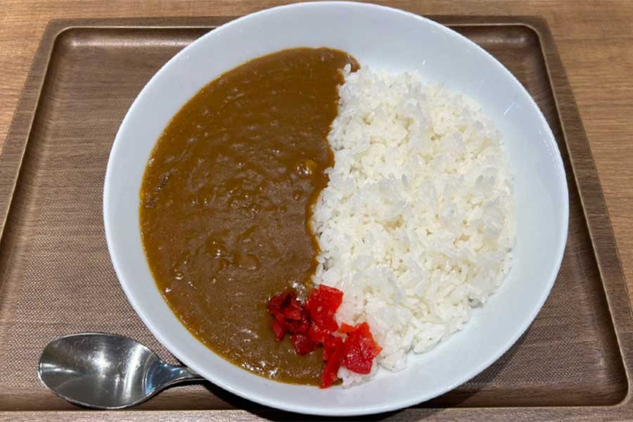 メキシコ人女性は日本のカレーライスに感激（写真はイメージ）【写真：Hint-Pot編集部】