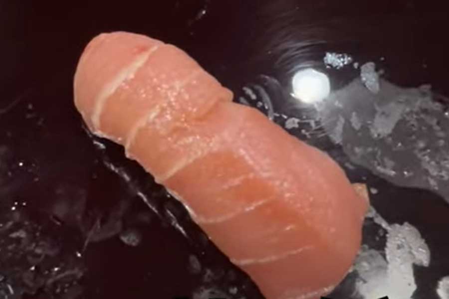 赤身→大トロをしのぎ「文句なしにナンバー1！（笑）」に輝いた中トロの握り（画像はスクリーンショット）