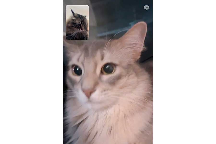 パワーくんがメインの画面。まるでリモート会議をしているよう【画像提供:ヤマネコ(@ymnc_rf)さん】