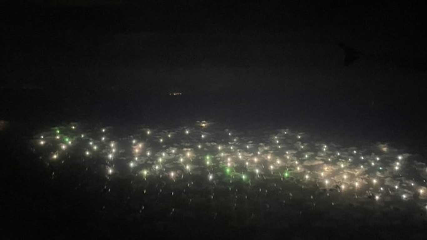 【写真提供：猫教授（@yaskaz）さん】