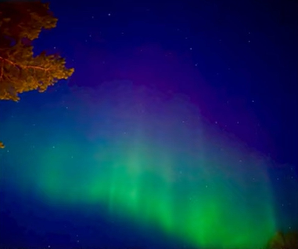 杏さん一家が目を奪われたオーロラ（画像はスクリーンショット）